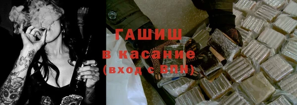 индика Белокуриха