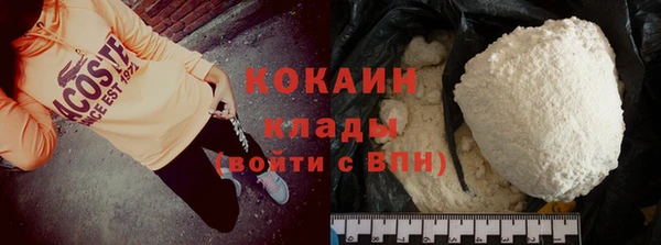 индика Белокуриха