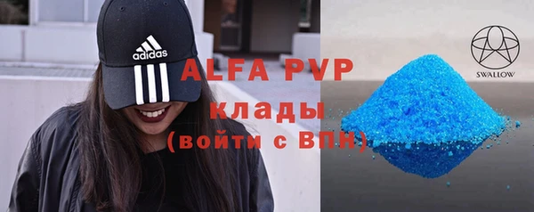 индика Белокуриха