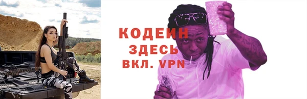 индика Белокуриха