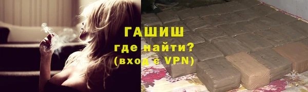 индика Белокуриха