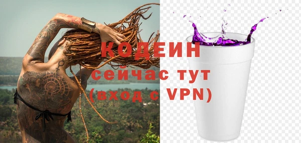индика Белокуриха