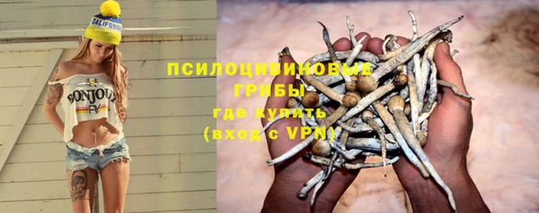 индика Белокуриха