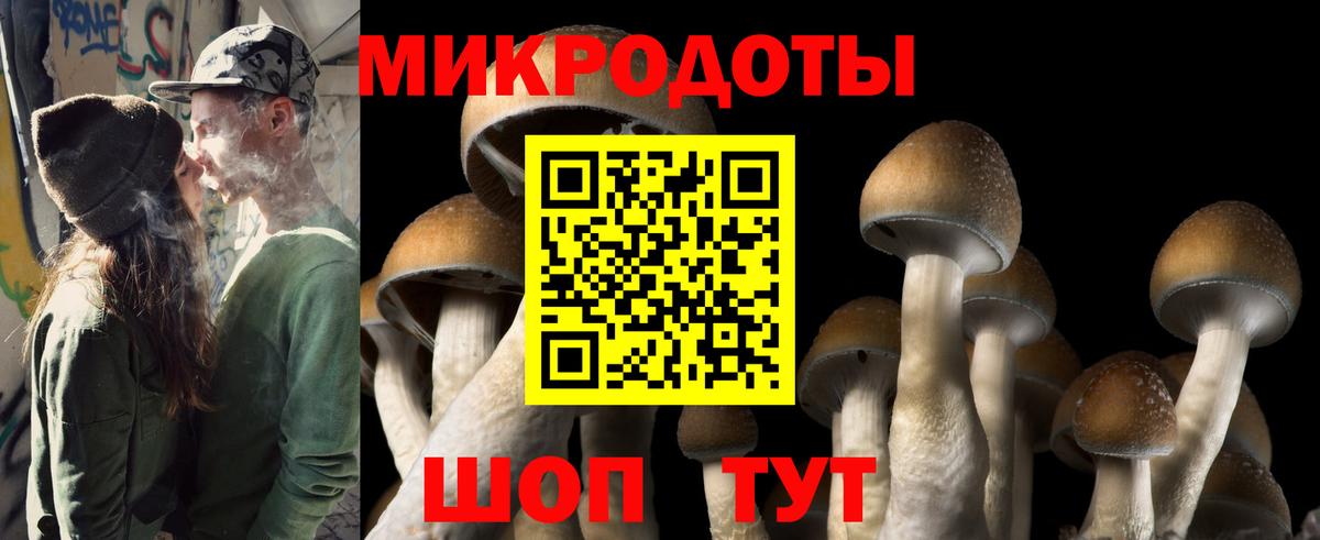 Богданович  Галлюциногенные грибы Cubensis  Вход с VPN  Галлюциногенные грибы Cubensis 